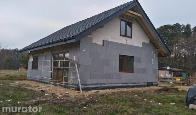 Готовый проект дома C333e