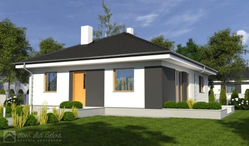 Готовый проект дома DD1407