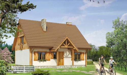 Готовый проект дома DS147