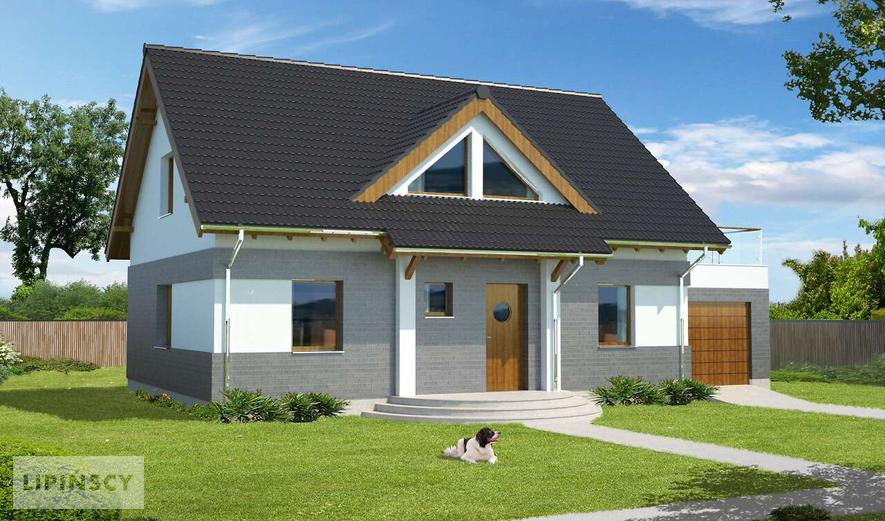 Готовый проект дома LDP01