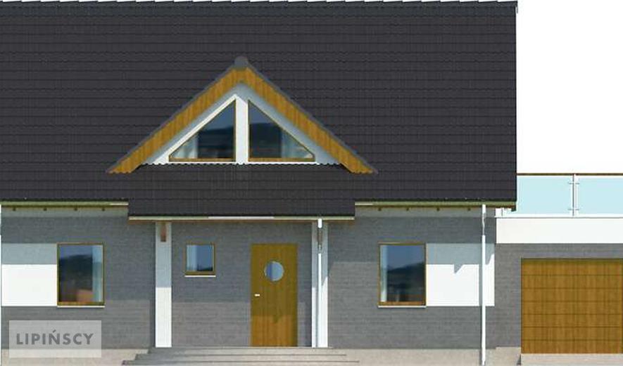 Готовый проект дома LDP01