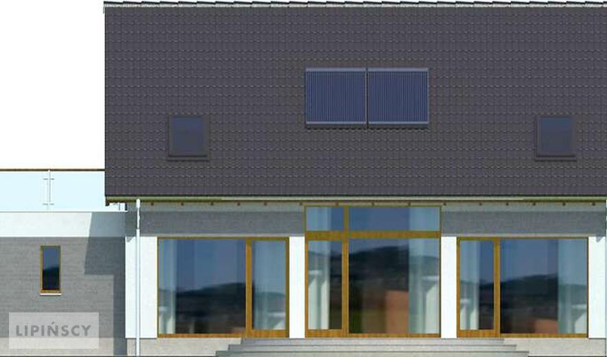 Готовый проект дома LDP01