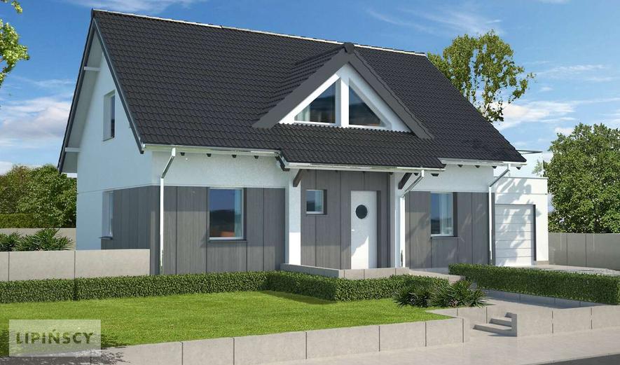 Готовый проект дома LDP01