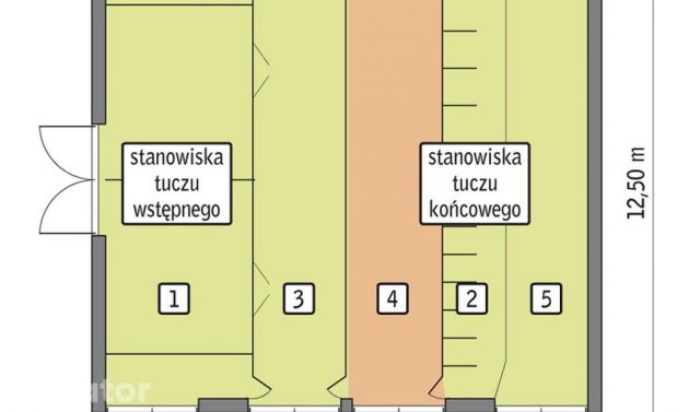 Готовый проект коровника на 36 коров мясных пород BO01