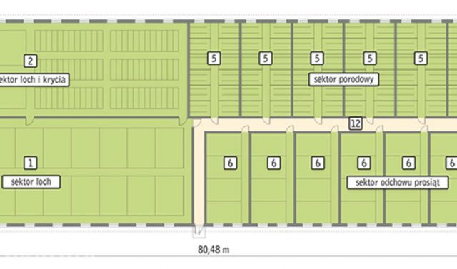 Готовый проект свинарника на 252 свиней CH08