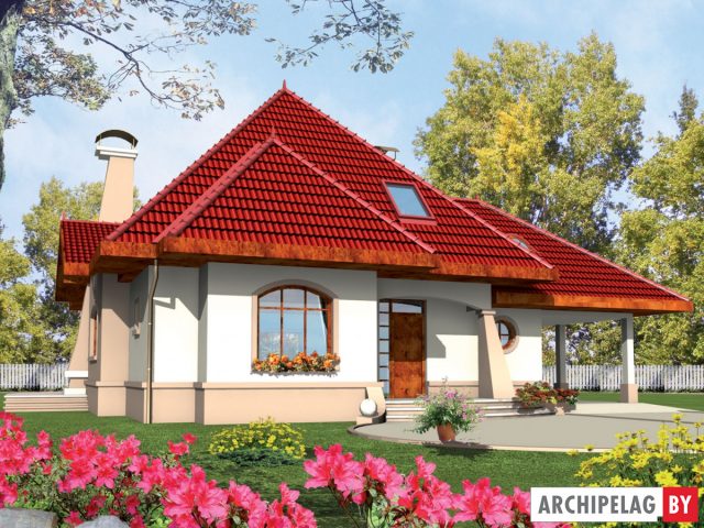 Проект дома Зузия